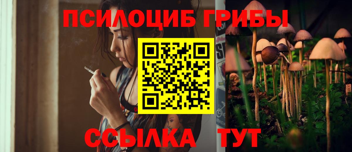Псилоцибиновые грибы Cubensis  Вход с VPN  Лыткарино 